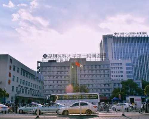 上海代孕公司排行榜,上海试管婴儿:优生优育什么时候怀孕好