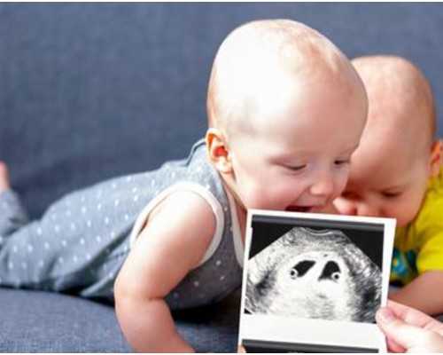 上海代怀公司官网,试管婴儿是不是亲生_上海供卵试管生子多少钱-上海供卵试管