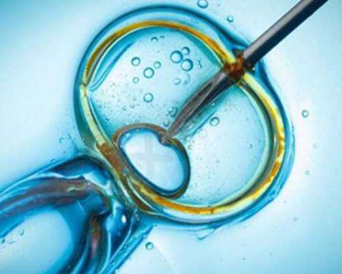 上海民营医院供卵,上海曙光医院试管成功率预估！附上海热门捐卵试管助孕医