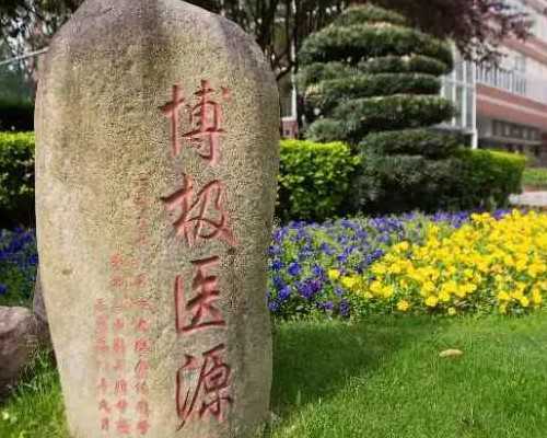 上海正规借卵中心,女性月经不调要多吃什么好上海明珠医院