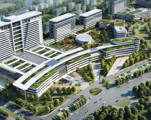 上海代怀公司收费,上海试管选性别，吃叶酸有助孕的功效吗！