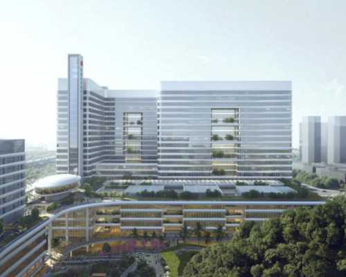 胎儿性别测试杯 胎儿性别测试杯