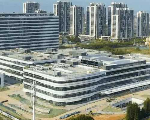 男性备孕能吃鸽子吗_滑石备孕可以吃吗