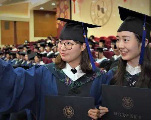 上海六院试管婴儿成功率高吗