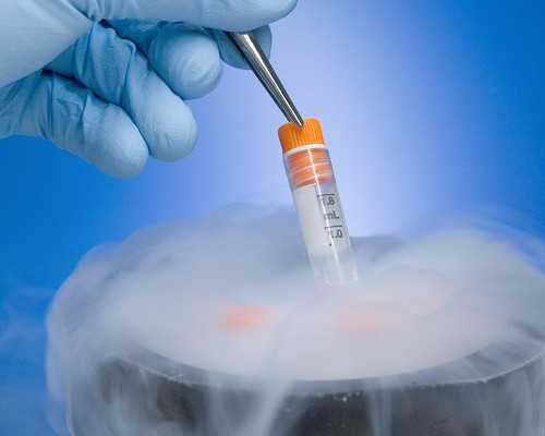 上海专业正规代怀,上海三代试管性别选择成本低生男孩概率高？谨防掉入陷阱