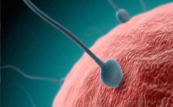 染色体异常和生化_宫寒胚胎不发育_美国第二代试管可以选男女吗？