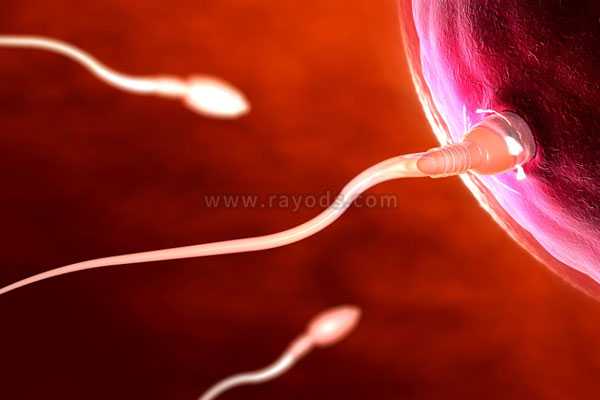 胎停后染色体异常_子宫角切除怀孕_无精症或少精症可以做试管婴儿吗?