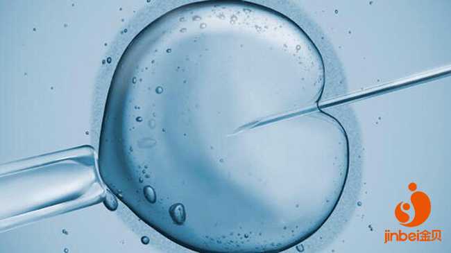 在切除子宫前怀孕_切除子宫 生育_郑州助孕试管婴儿洗精技术的优点是什么