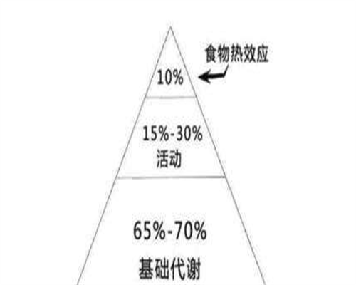 内分泌性不孕