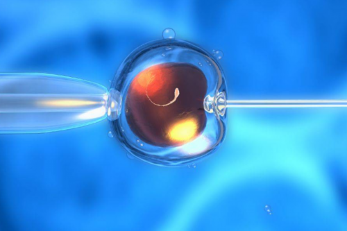 遗传咨询不孕