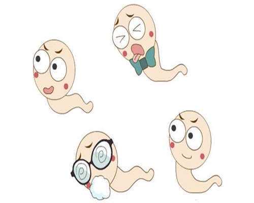 FSH高不孕